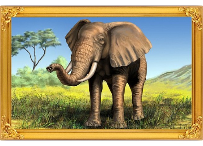 Наклейка на стену Африканский слон